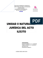 Trabajo Unidad II Naturaleza Juridica Del Acto Ilicito