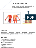 Vía Intramuscular