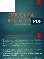 2 - Estructura Bacteriana