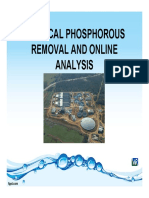 Chemical Phosphorous Removal and Online Analysis