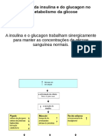 Insulina+e+glucagon+2017 2 PDF