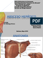 Absceso Hepatico