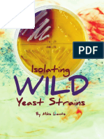 Isolation Wild Yeast