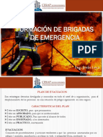 Formación de Brigadas VF Cesap PDF