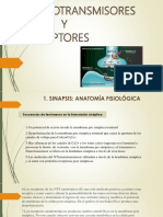 Exposicion de Fisiologia de Neurotrasmisores 1