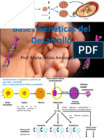 Bases Genéticas Del Desarrollo PDF