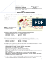 Ficha Formativa Biologia