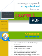 A Strategic Approach Behavior: To Organizational