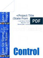 Bonacorsi Consulting Control Master Template