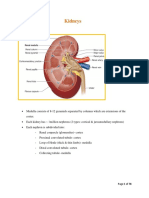 UG Histology - Study Notes