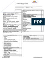 Plan de Intervencion Individual TEL