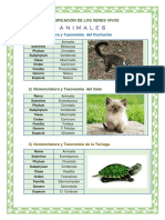 Clasificación de Los Seres Vivos (Taxonomía)