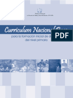 CNB de Formacion Docente PDF