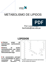 Metabolismo de Lipidos