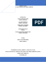 Fase 3. Modelación Integral Del Medio Ambiente