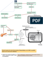 Diabetes Mellitus Tipo 2