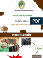 Acidosis PDF