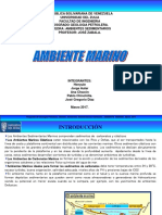 Presentación Ambiente Marino