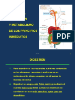 Digestiòn y Absorcion de Carbohidratos