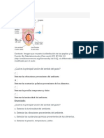 Quiz 2 Biologia Humana Segundo Intento