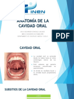 Anatomía Cavidad Oral