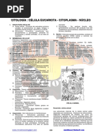 Citologia Celula Eucariota Citoplasma Nucleo PDF