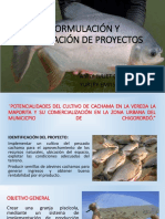 Exposición Cachama