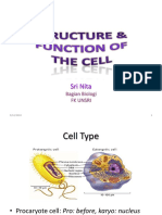 IT 2 - Struc N Func Cell Pro & Eu G