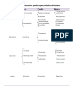 Principales Grupos de Protozoarios&Helmintos Parasitarios