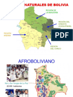 Población Indígena en Bolivia