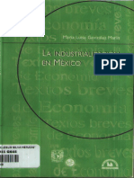 La Industrialización en México PDF