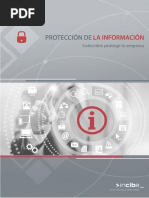 INCIBE Protección de La Información