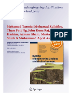 Definitions and Engineering Classifications of Tropical Lowland Peats