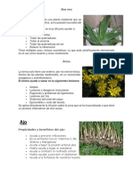 20 Plantas Medicinales