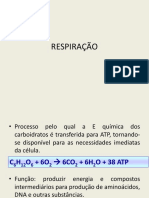 Aula 5 RESPIRAÇÃO