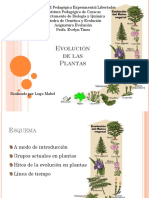 Evolucion de Las Plantas