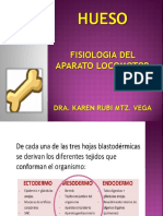 HUESO Fisiologia