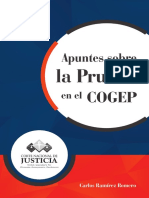 ApuntesCOGEP PDF