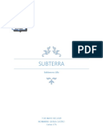 Subterra Informe 6 Basico