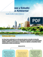 Linea de Base y Estudio Ambiental