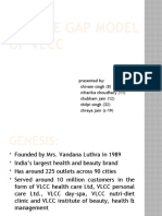 Service Gap Model