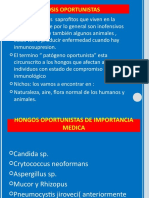 Micosis Oportunistas