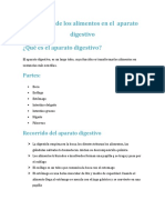 Recorrido de Los Alimentos en El Aparato Digestivo