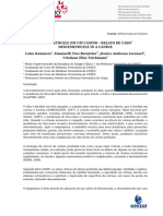 Descemetocele em Um Canino - Relato de Caso