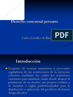 Derecho Concursal Peruano