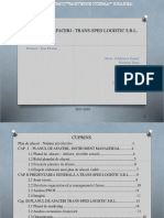 Planul de Afaceri Trans-Sped Logistic S