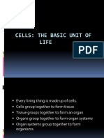 Cells - Basic Unit of Life