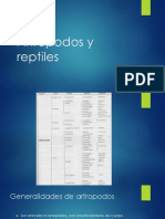 Artrópodos y Reptiles