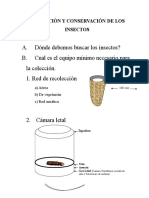 Recolección y Conservación de Los Insectos