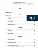 Declaración de Impacto Ambiental Proyecto Extracción de Arena Cruz de Shique